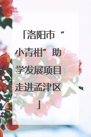 洛阳市“小青柑”助学发展项目走进孟津区