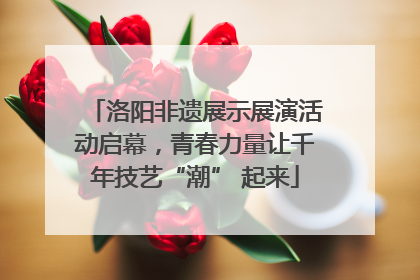 洛阳非遗展示展演活动启幕，青春力量让千年技艺“潮” 起来