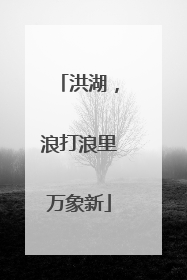 洪湖，浪打浪里万象新