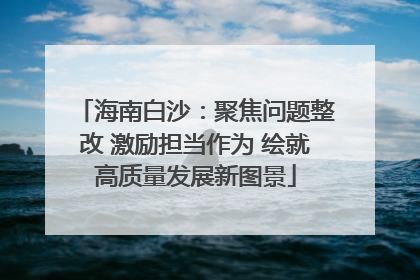 海南白沙：聚焦问题整改 激励担当作为 绘就高质量发展新图景