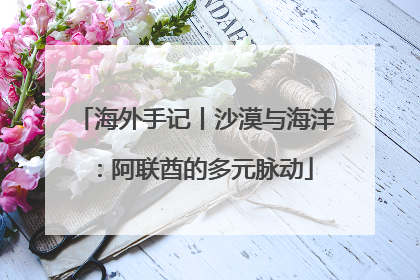 海外手记丨沙漠与海洋：阿联酋的多元脉动