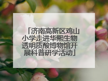 济南高新区鸡山小学走进华熙生物透明质酸博物馆开展科普研学活动
