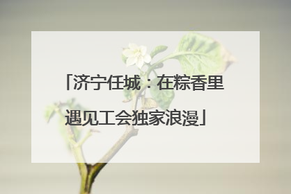 济宁任城：在粽香里遇见工会独家浪漫