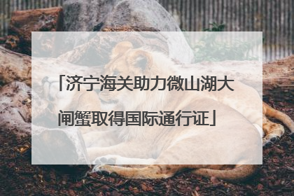 济宁海关助力微山湖大闸蟹取得国际通行证