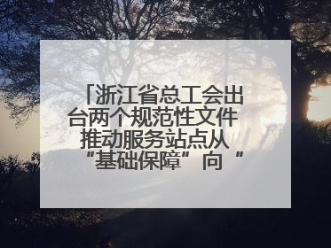 浙江省总工会出台两个规范性文件 推动服务站点从“基础保障”向“品质服务”跃升