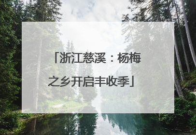 浙江慈溪：杨梅之乡开启丰收季