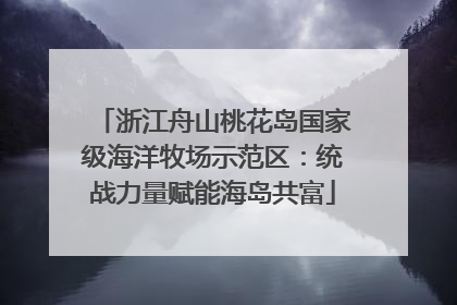 浙江舟山桃花岛国家级海洋牧场示范区：统战力量赋能海岛共富
