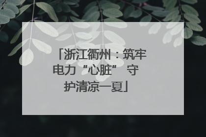 浙江衢州：筑牢电力“心脏” 守护清凉一夏