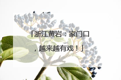 浙江黄岩：家门口，越来越有戏！