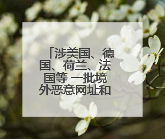 涉美国、德国、荷兰、法国等 一批境外恶意网址和IP曝光