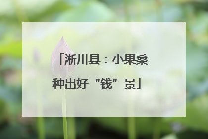 淅川县：小果桑种出好“钱”景