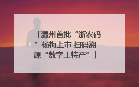 温州首批“浙农码”杨梅上市 扫码溯源“数字土特产”