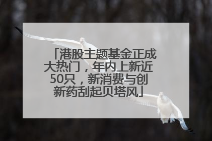 港股主题基金正成大热门，年内上新近50只，新消费与创新药刮起贝塔风
