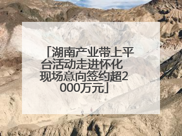 湖南产业带上平台活动走进怀化 现场意向签约超2000万元