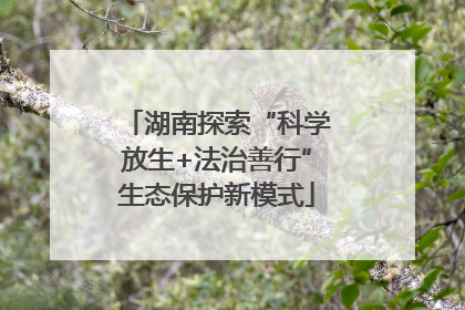 湖南探索“科学放生+法治善行”生态保护新模式
