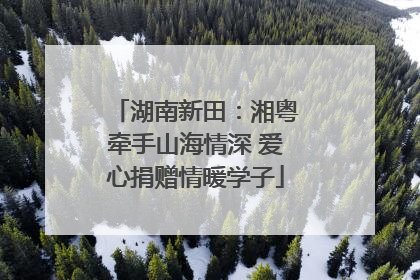 湖南新田：湘粤牵手山海情深 爱心捐赠情暖学子