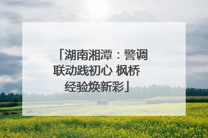湖南湘潭：警调联动践初心 枫桥经验焕新彩