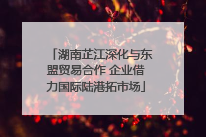 湖南芷江深化与东盟贸易合作 企业借力国际陆港拓市场