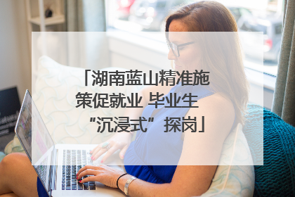 湖南蓝山精准施策促就业 毕业生“沉浸式”探岗