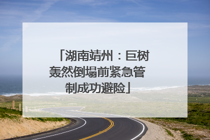 湖南靖州：巨树轰然倒塌前紧急管制成功避险