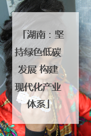 湖南：坚持绿色低碳发展 构建现代化产业体系