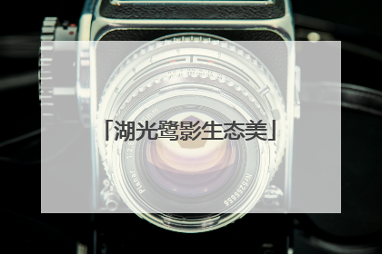 湖光鹭影生态美