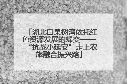 湖北白果树湾依托红色资源发展的蝶变——“抗战小延安”走上农旅融合振兴路