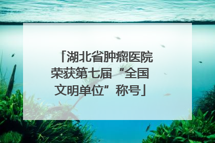 湖北省肿瘤医院荣获第七届“全国文明单位”称号