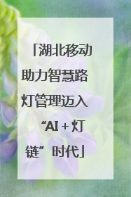 湖北移动助力智慧路灯管理迈入“AI＋灯链”时代