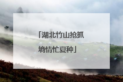 湖北竹山抢抓墒情忙夏种