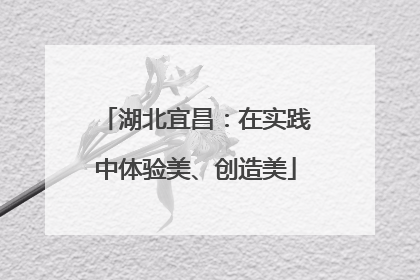 湖北宜昌：在实践中体验美、创造美