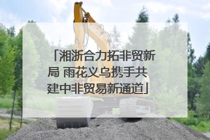 湘浙合力拓非贸新局 雨花义乌携手共建中非贸易新通道