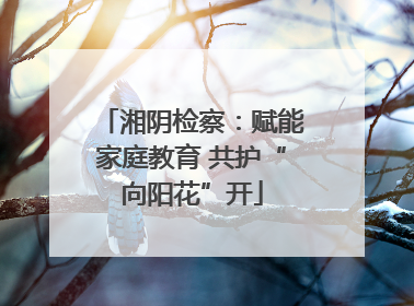 湘阴检察：赋能家庭教育 共护“向阳花”开