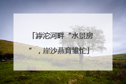 滹沱河畔“水景房”，崖沙燕育雏忙