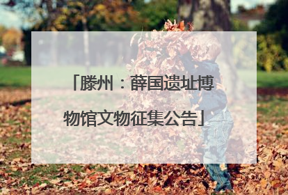 滕州：薛国遗址博物馆文物征集公告