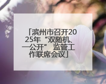 滨州市召开2025年“双随机、一公开” 监管工作联席会议