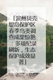 滨州贝壳堤岛保护区春季鸟类调查成果惊艳：多项纪录刷新，生态保护成效显著