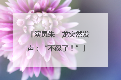 演员朱一龙突然发声：“不忍了！”