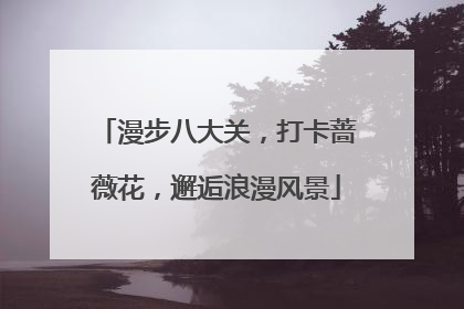 漫步八大关，打卡蔷薇花，邂逅浪漫风景