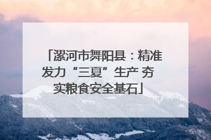 漯河市舞阳县：精准发力“三夏”生产 夯实粮食安全基石