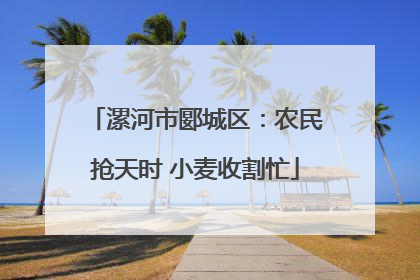漯河市郾城区：农民抢天时 小麦收割忙