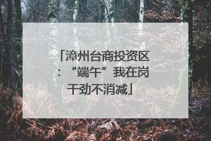漳州台商投资区：“端午”我在岗 干劲不消减