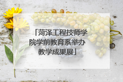 菏泽工程技师学院学前教育系举办教学成果展