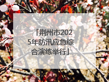 荆州市2025年防汛应急综合演练举行