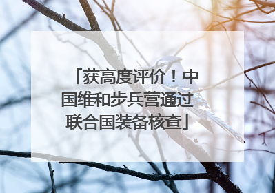 获高度评价！中国维和步兵营通过联合国装备核查