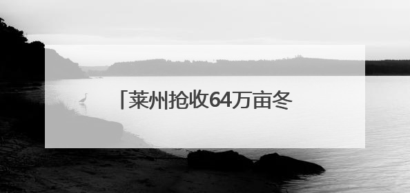 莱州抢收64万亩冬小麦 投入小麦联合收割机1500台