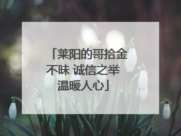 莱阳的哥拾金不昧 诚信之举温暖人心