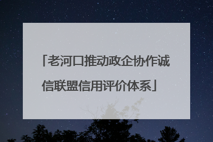 老河口推动政企协作诚信联盟信用评价体系