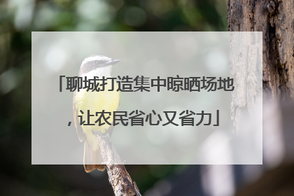 聊城打造集中晾晒场地，让农民省心又省力