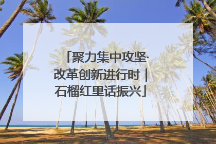 聚力集中攻坚·改革创新进行时｜石榴红里话振兴